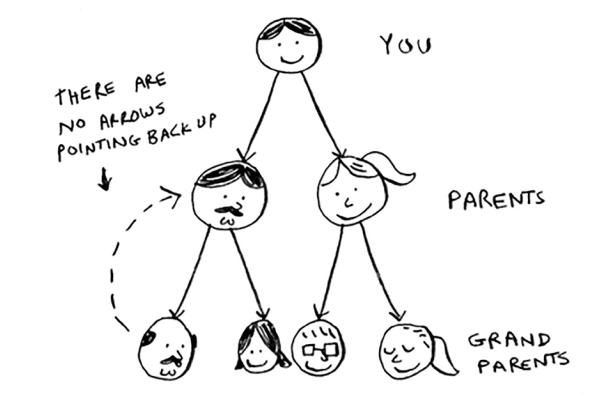 a family tree