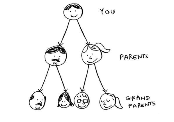 a family tree